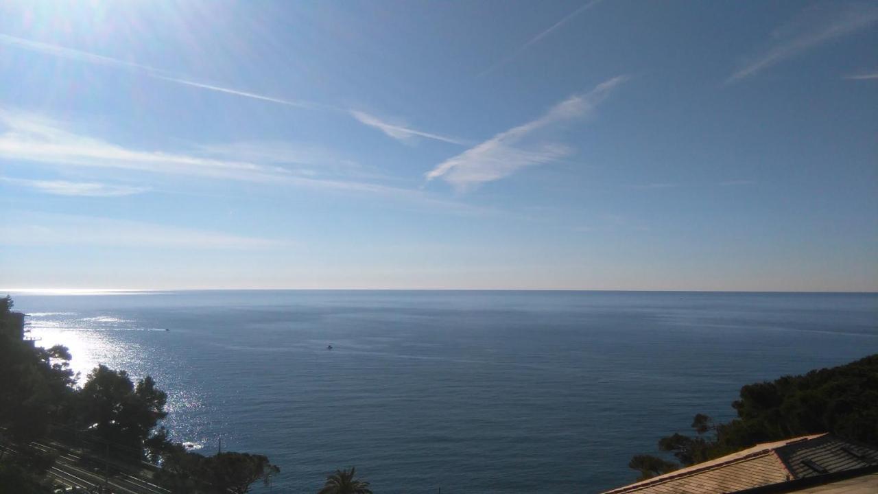 Mare E Vista Portofino - Sea And Portofino View Zoagli Eksteriør billede