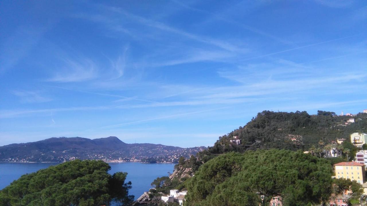 Mare E Vista Portofino - Sea And Portofino View Zoagli Eksteriør billede