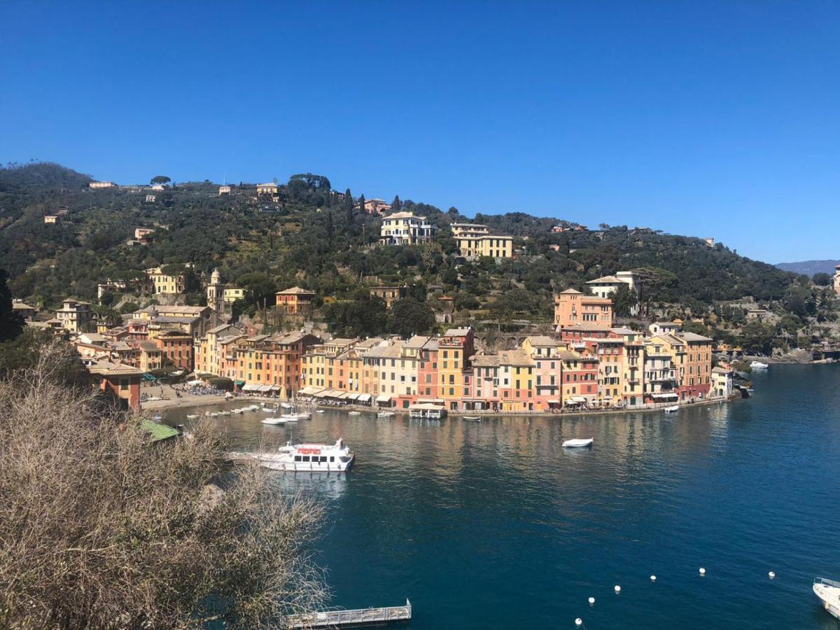 Mare E Vista Portofino - Sea And Portofino View Zoagli Eksteriør billede