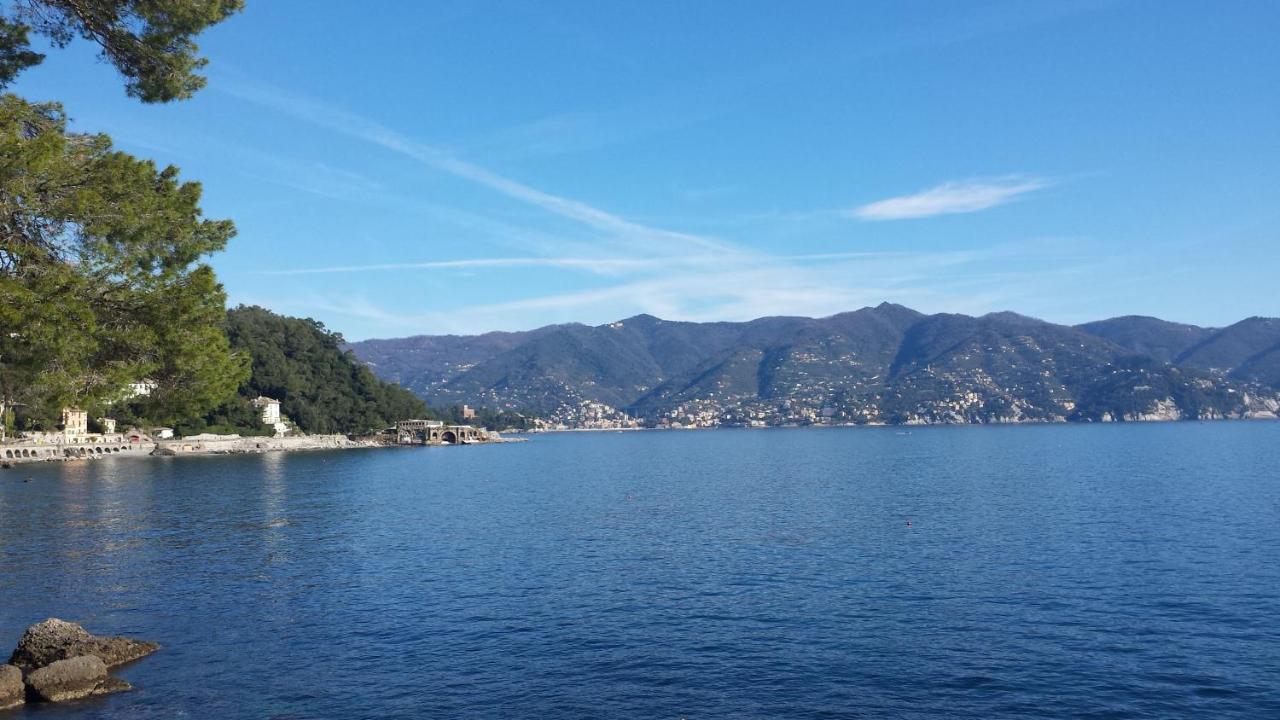 Mare E Vista Portofino - Sea And Portofino View Zoagli Eksteriør billede