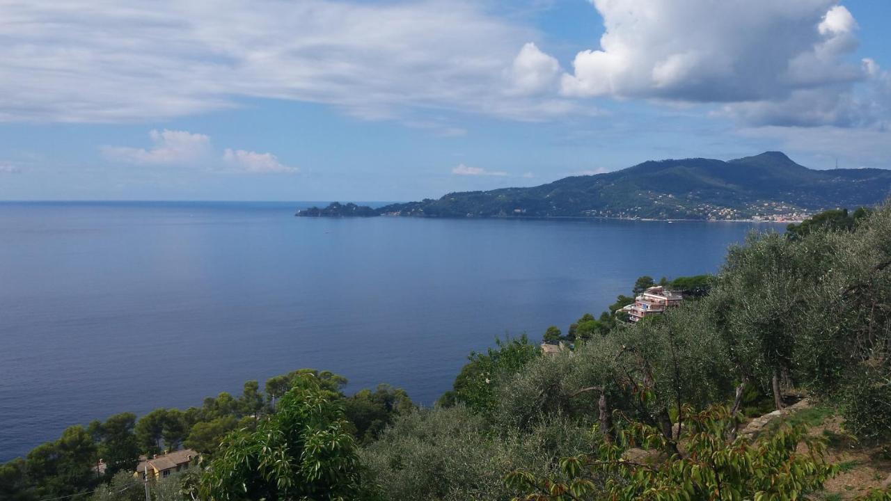 Mare E Vista Portofino - Sea And Portofino View Zoagli Eksteriør billede