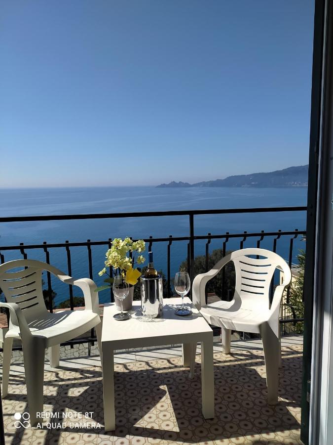 Mare E Vista Portofino - Sea And Portofino View Zoagli Eksteriør billede