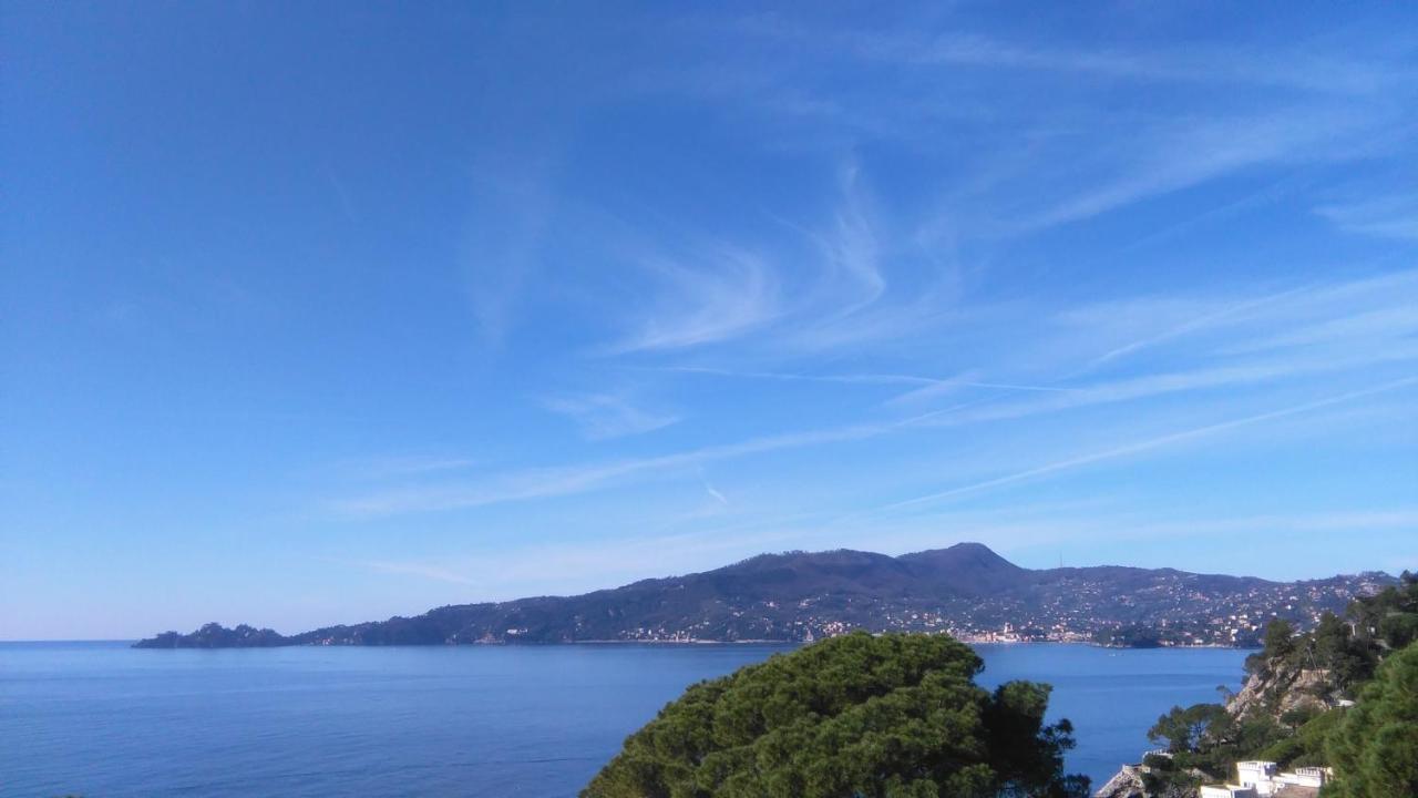 Mare E Vista Portofino - Sea And Portofino View Zoagli Eksteriør billede